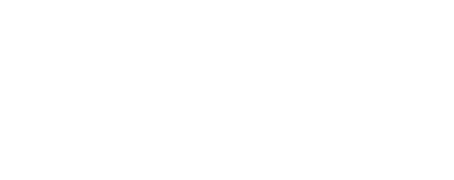 Logo Zmbelli with fireworks (1)